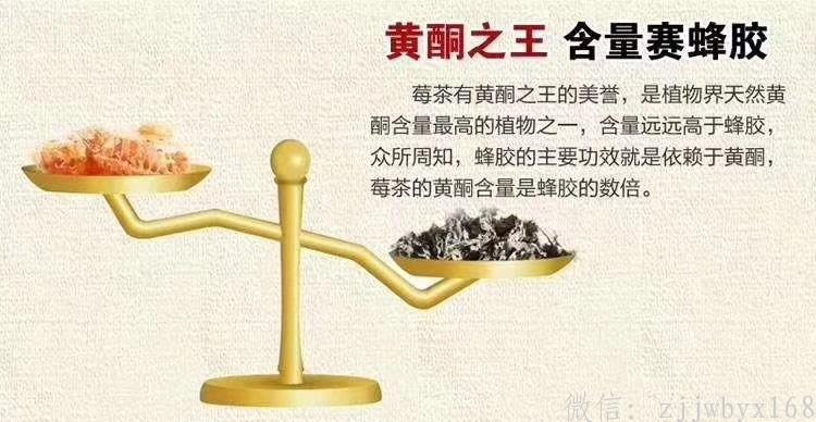 莓茶的功效与作用
